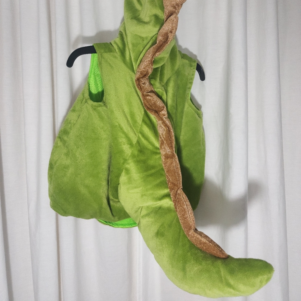 Dinosaur costume 9-18 months